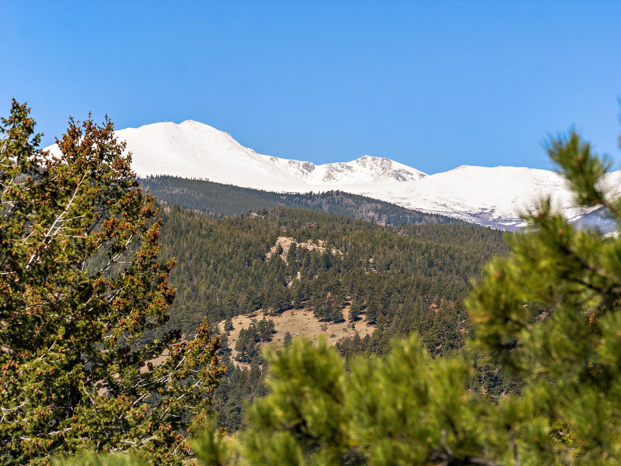 Or Winter Views!