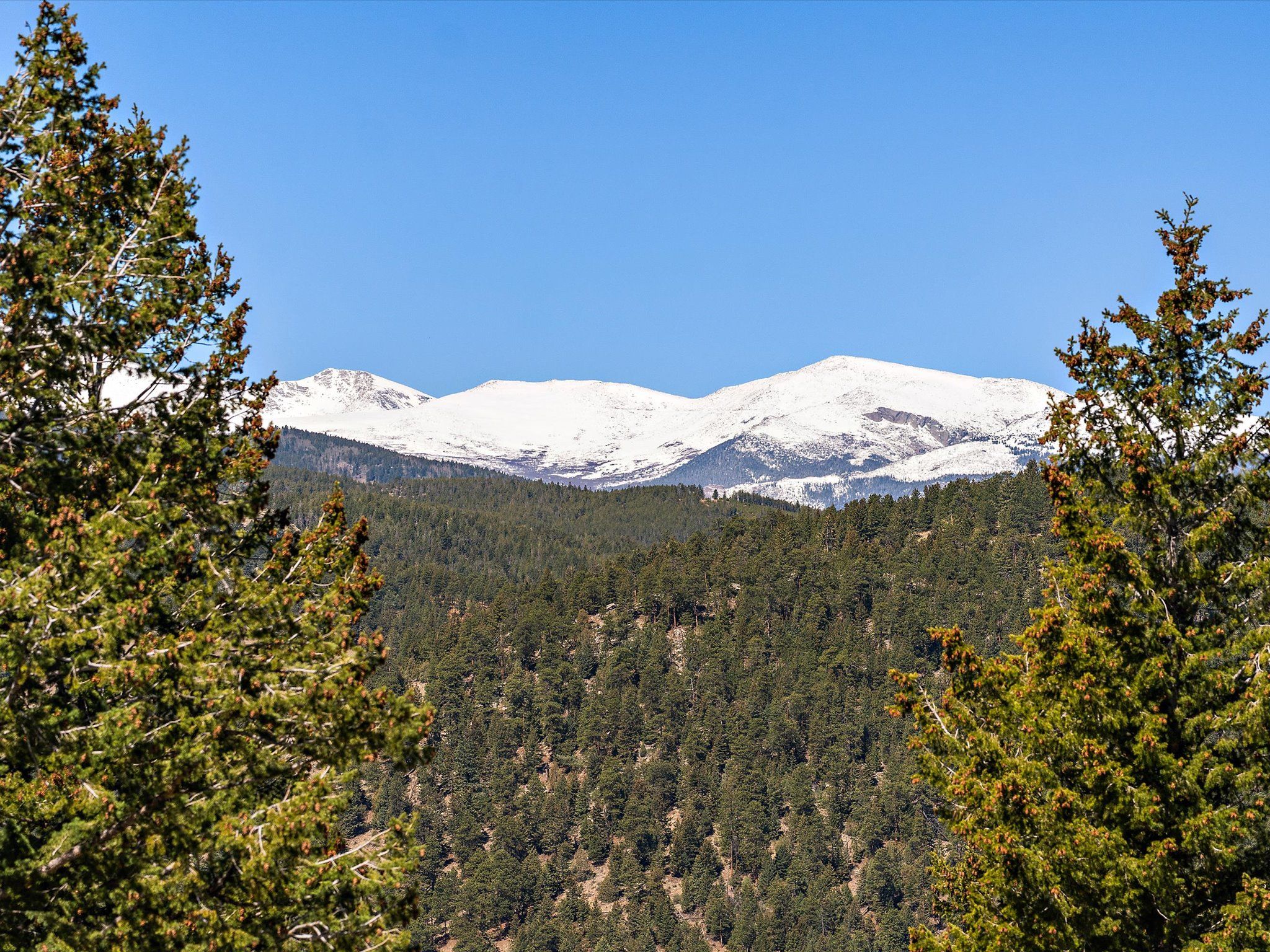 Snowcapped views of