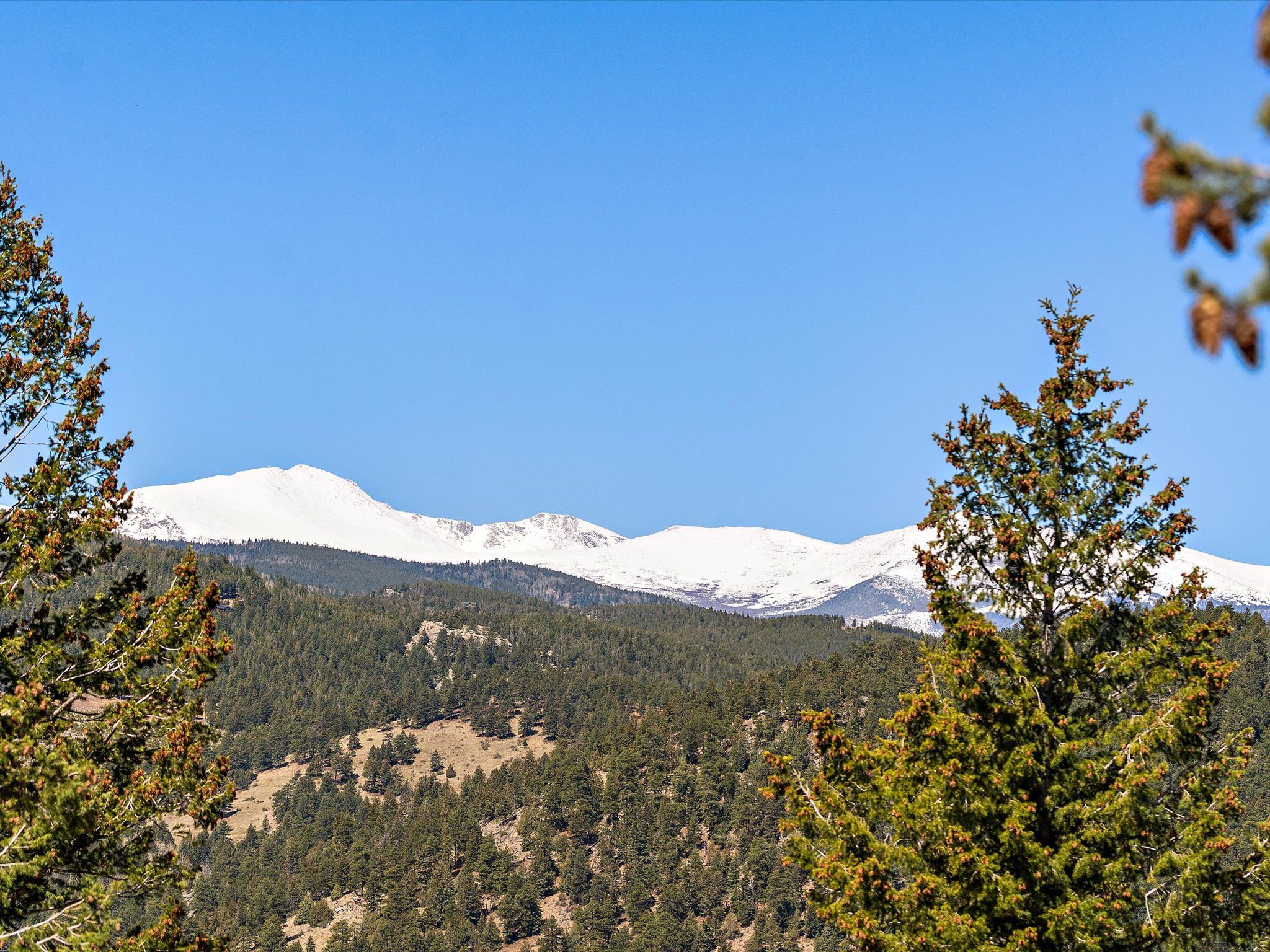Mount Blue Sky