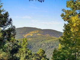 Stunning Setting for your custom home