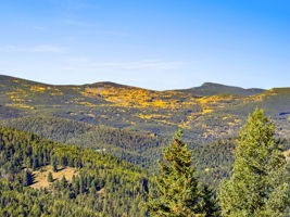 Amazing Fall views