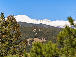 Or Winter Views!