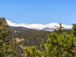To live with this view