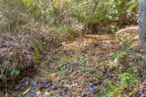  Photo 35