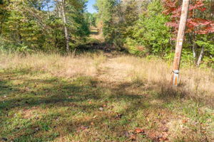  Photo 49