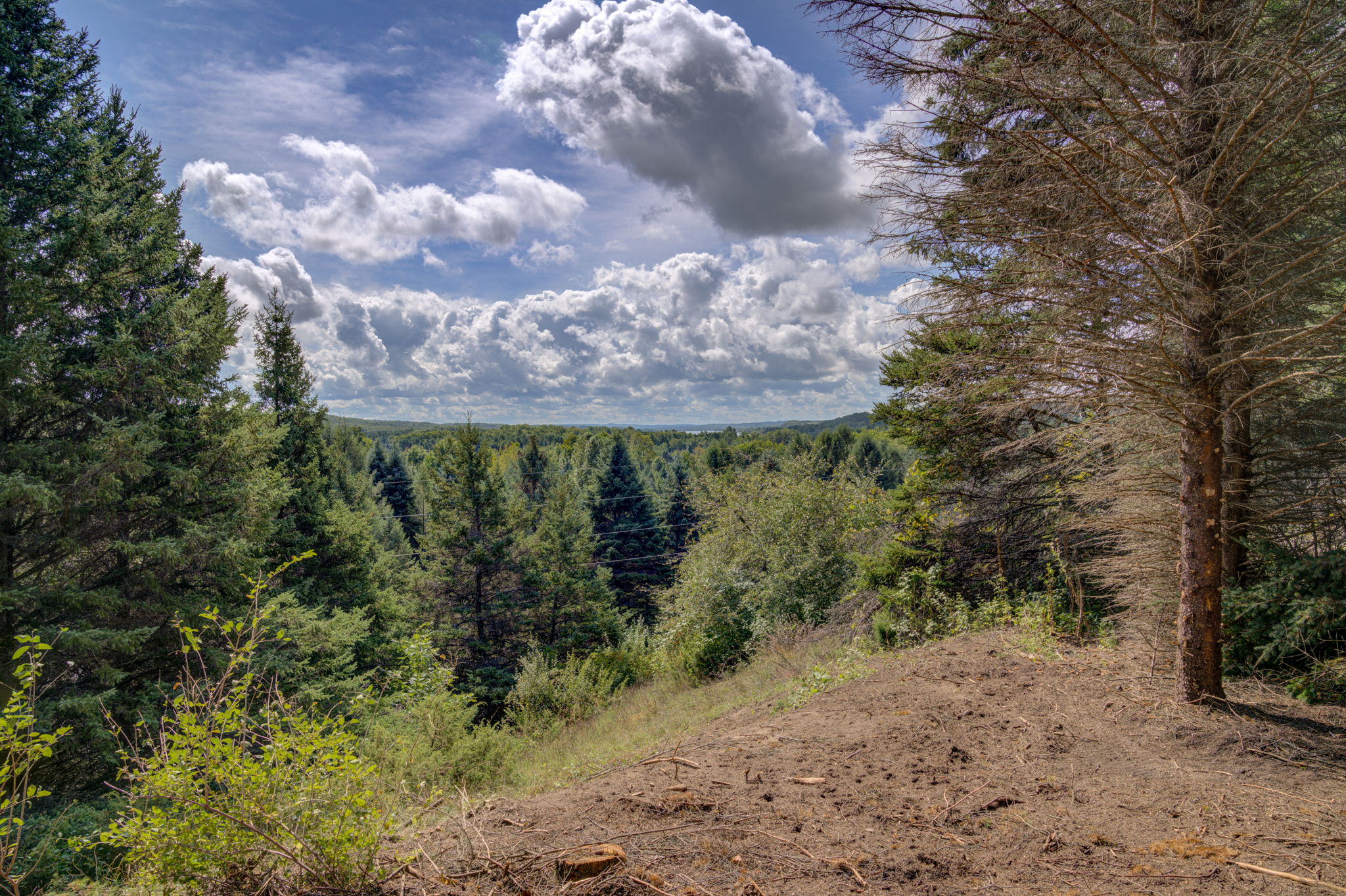  Photo 40