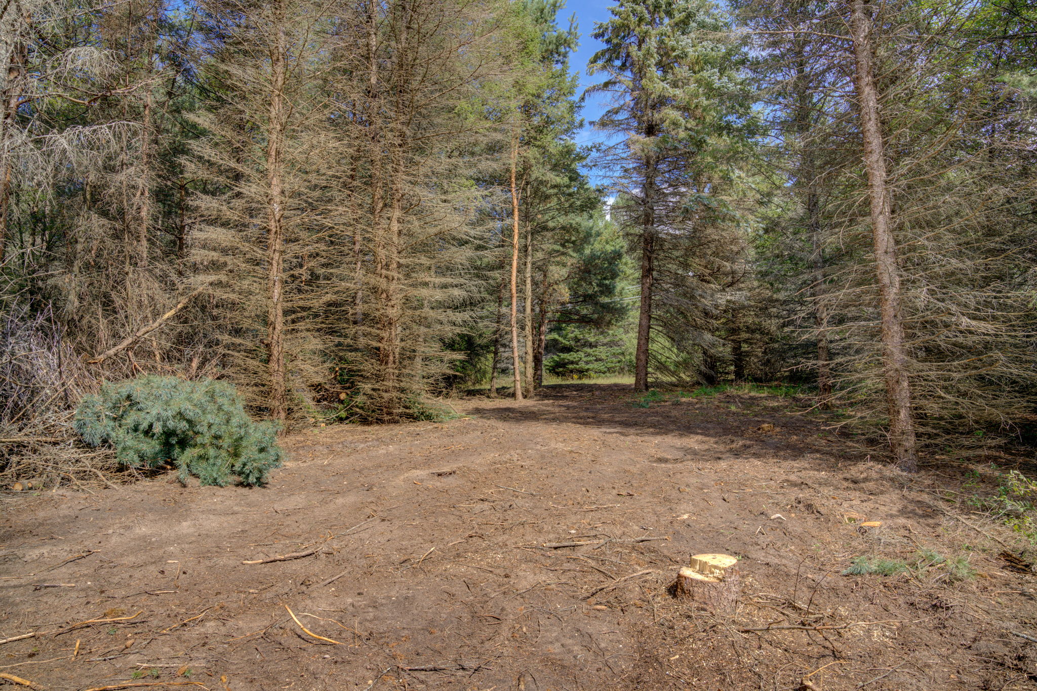  Photo 41