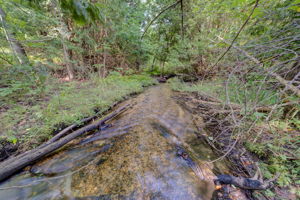  Photo 0