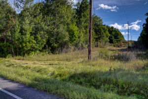  Photo 49