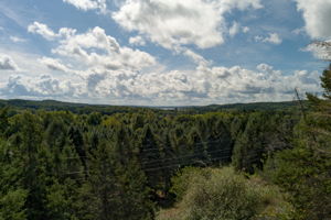  Photo 100