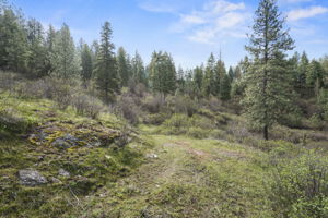  Photo 35
