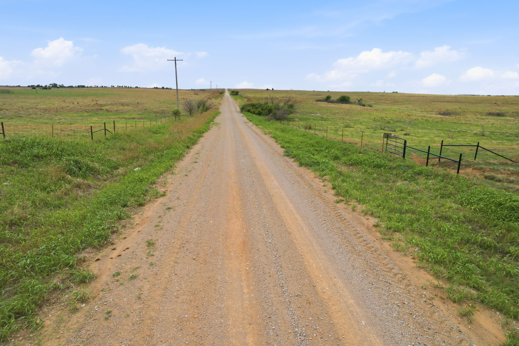  Photo 47