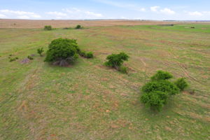  Photo 35