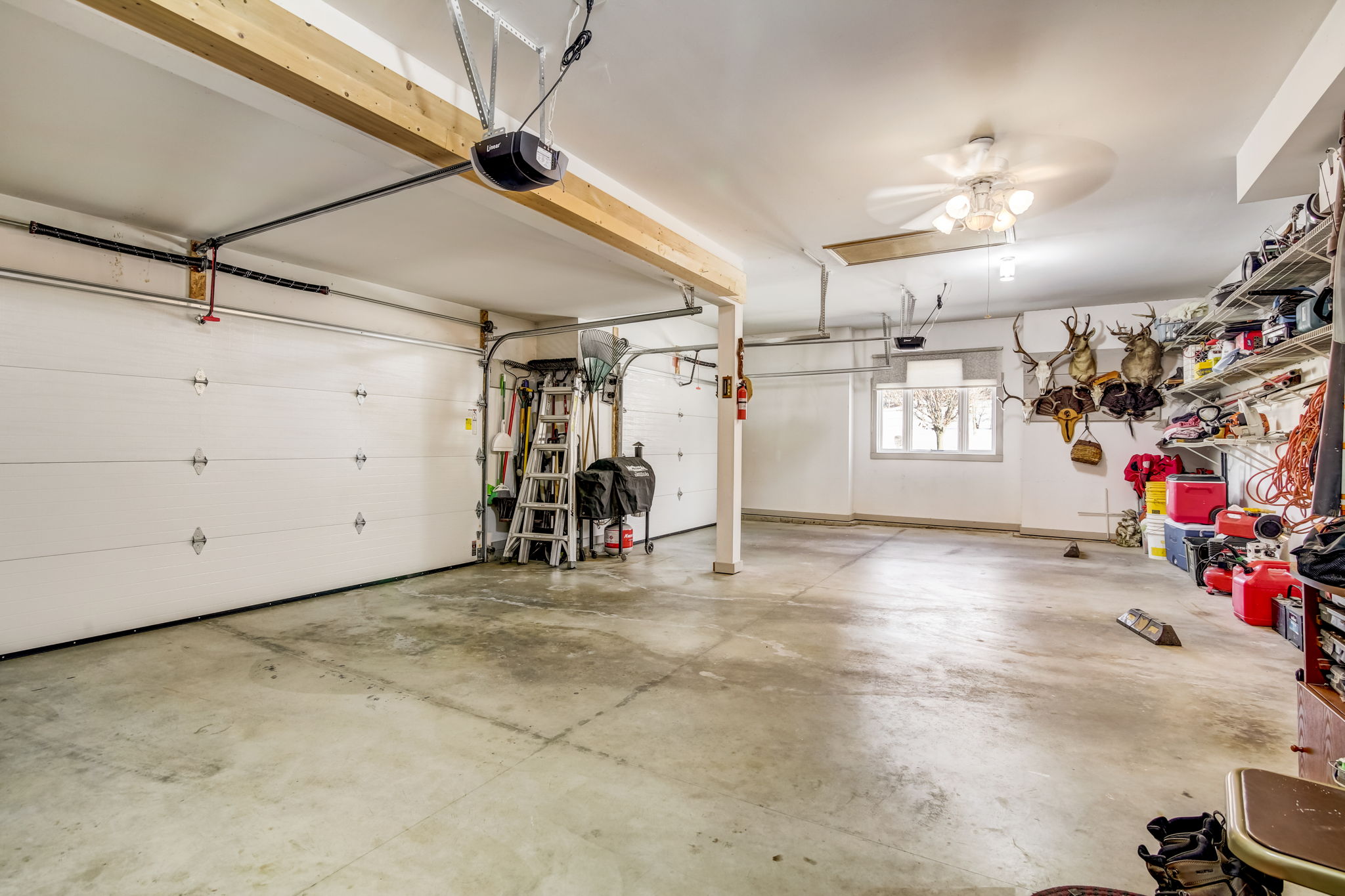 Rapp Rd-073