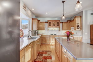 Rapp Rd-028