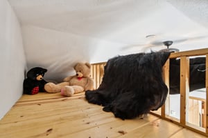 N3704 Co Rd K-S2001-031.jpg