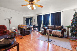 Photo 44