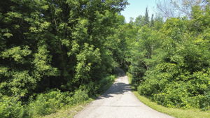  Photo 37