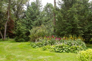  Photo 31