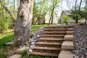  Photo 61