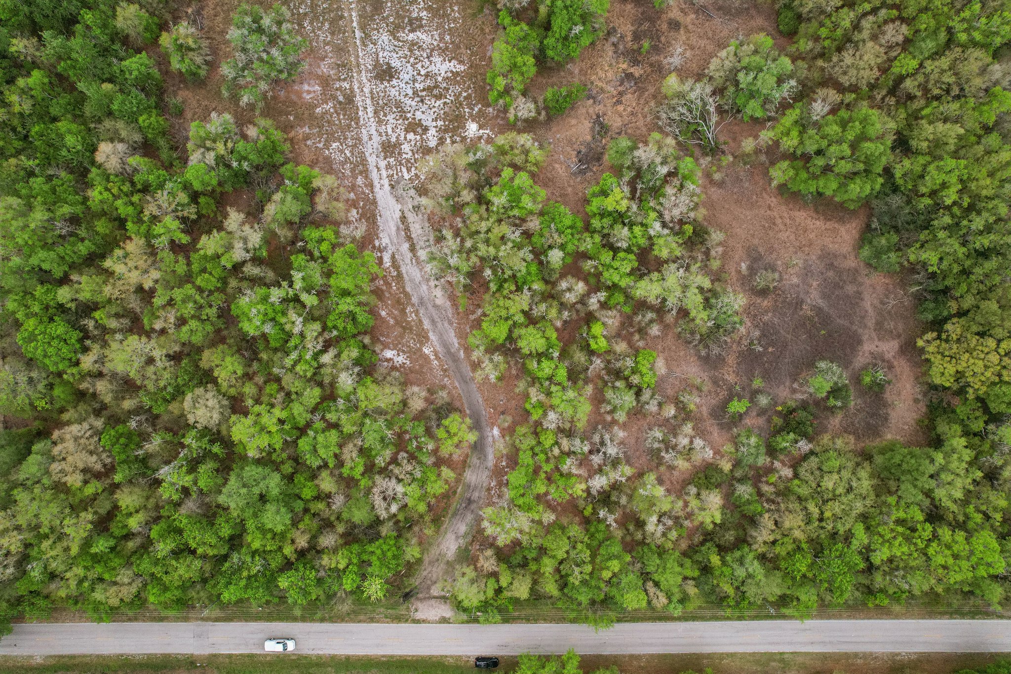 [No address provided]-S1603-004.jpg