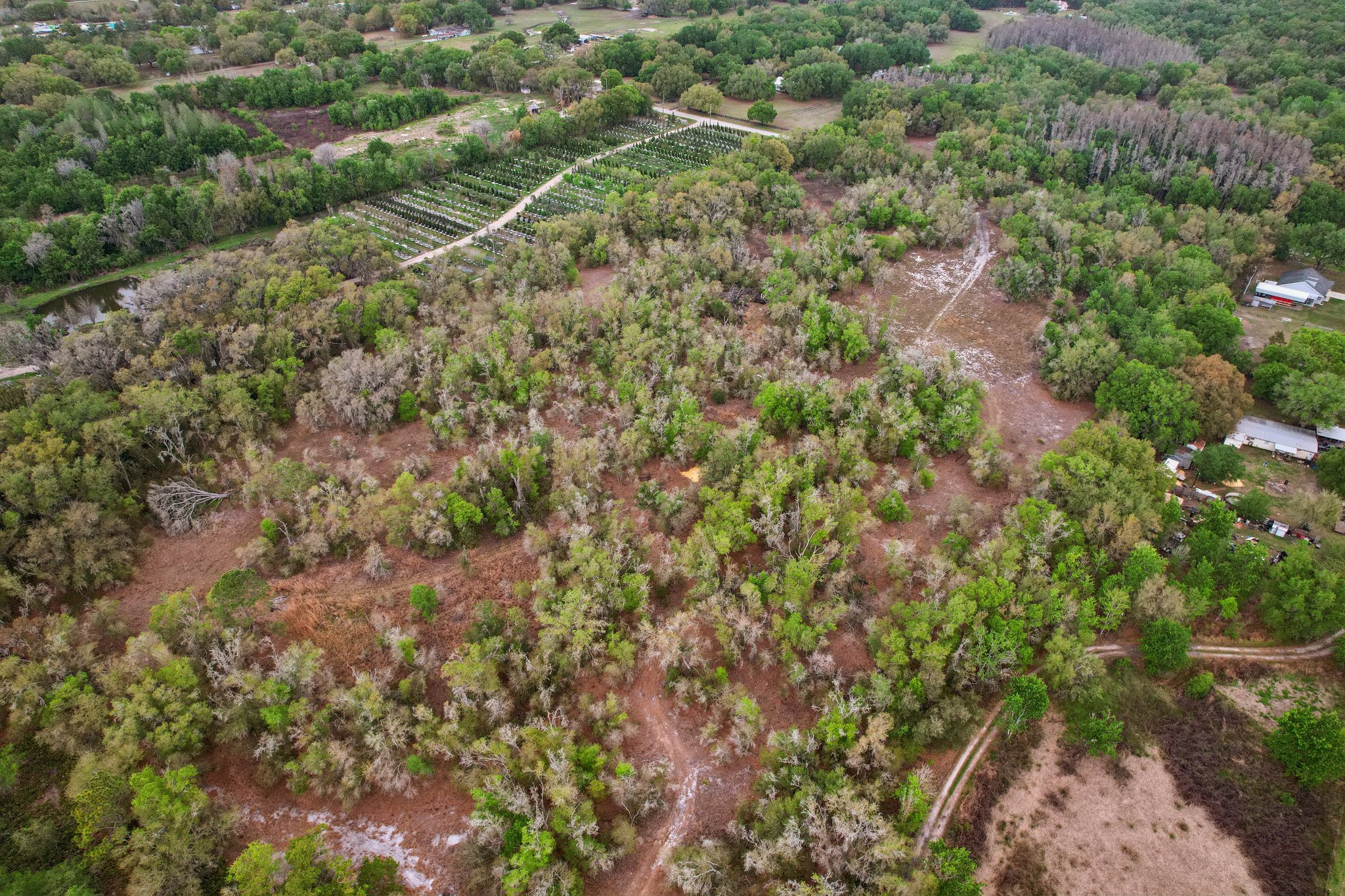 [No address provided]-S1603-008.jpg