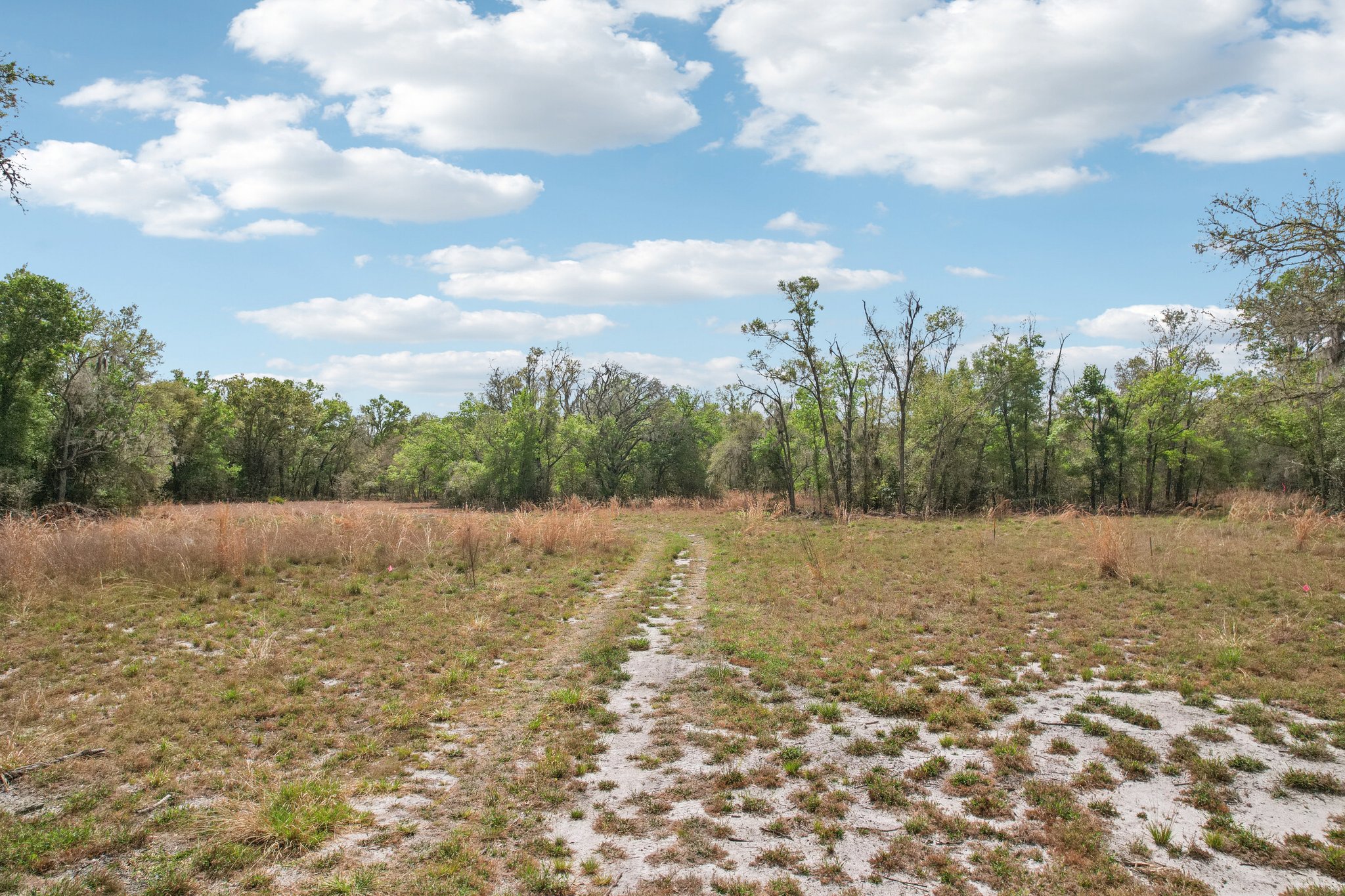 [No address provided]-S1603-014.jpg