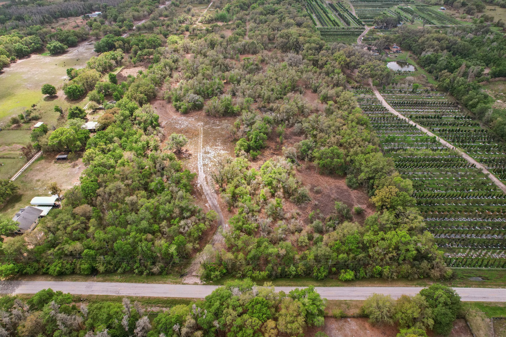 [No address provided]-S1603-018.jpg