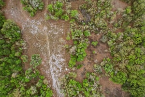 [No address provided]-S1603-005.jpg