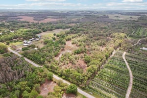 [No address provided]-S1603-021.jpg