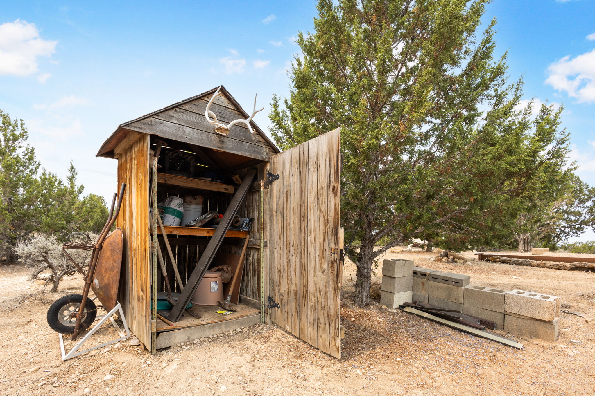  Photo 48