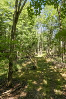 Photo 35