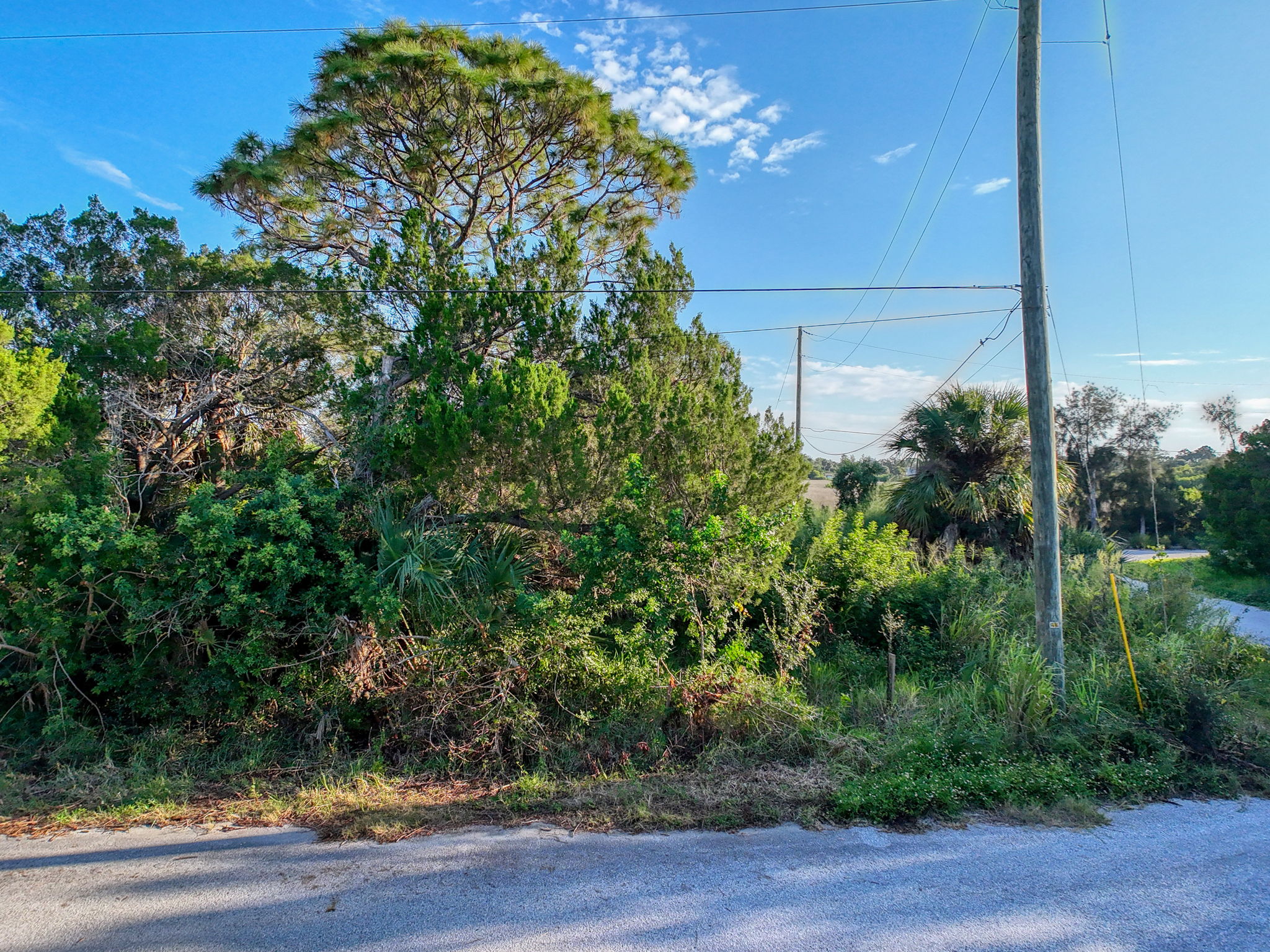  Photo 40