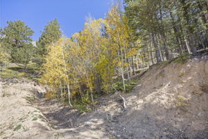  Photo 37