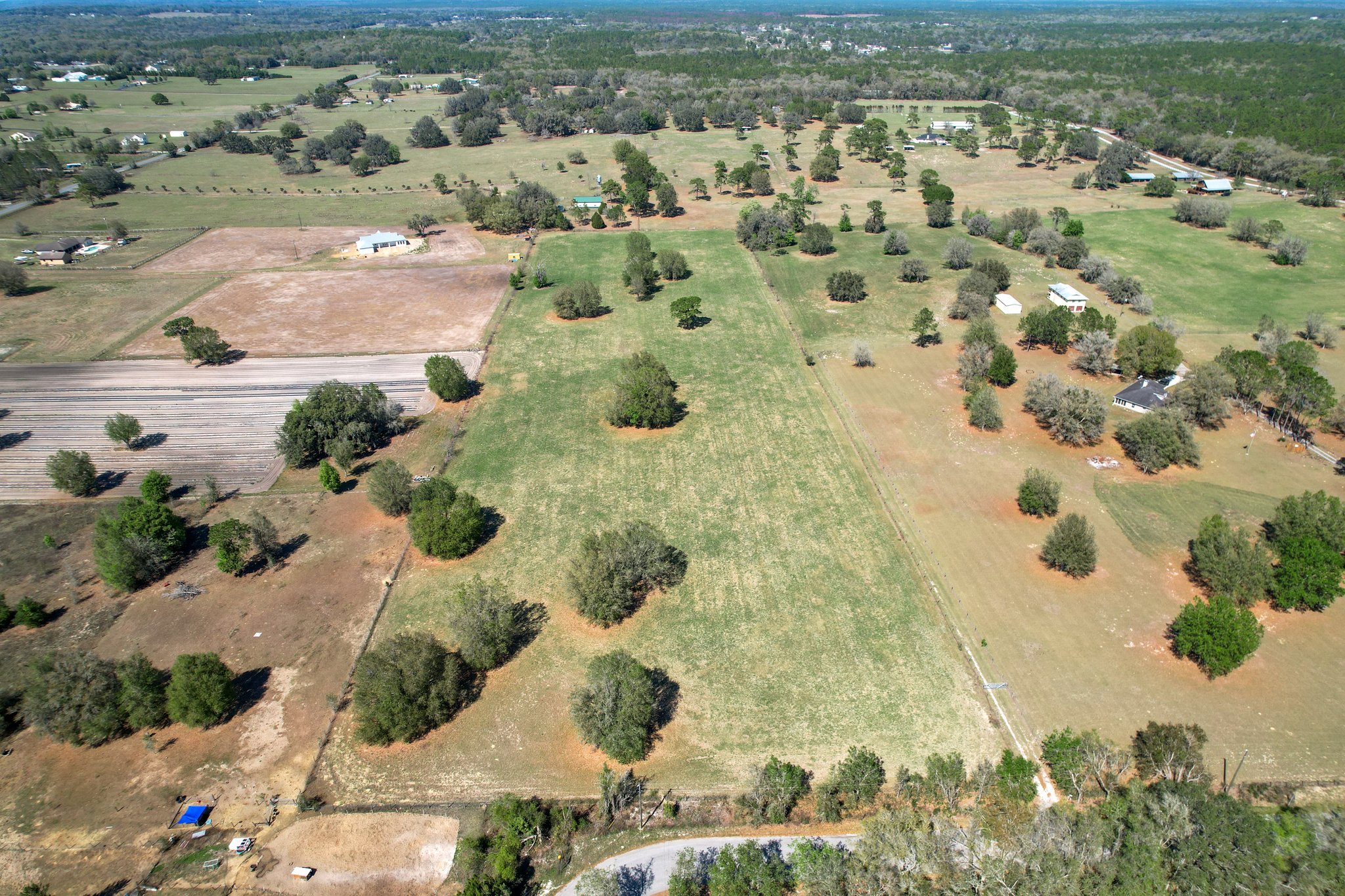 Old Trilby Rd, Florida 34602, USA Photo 2