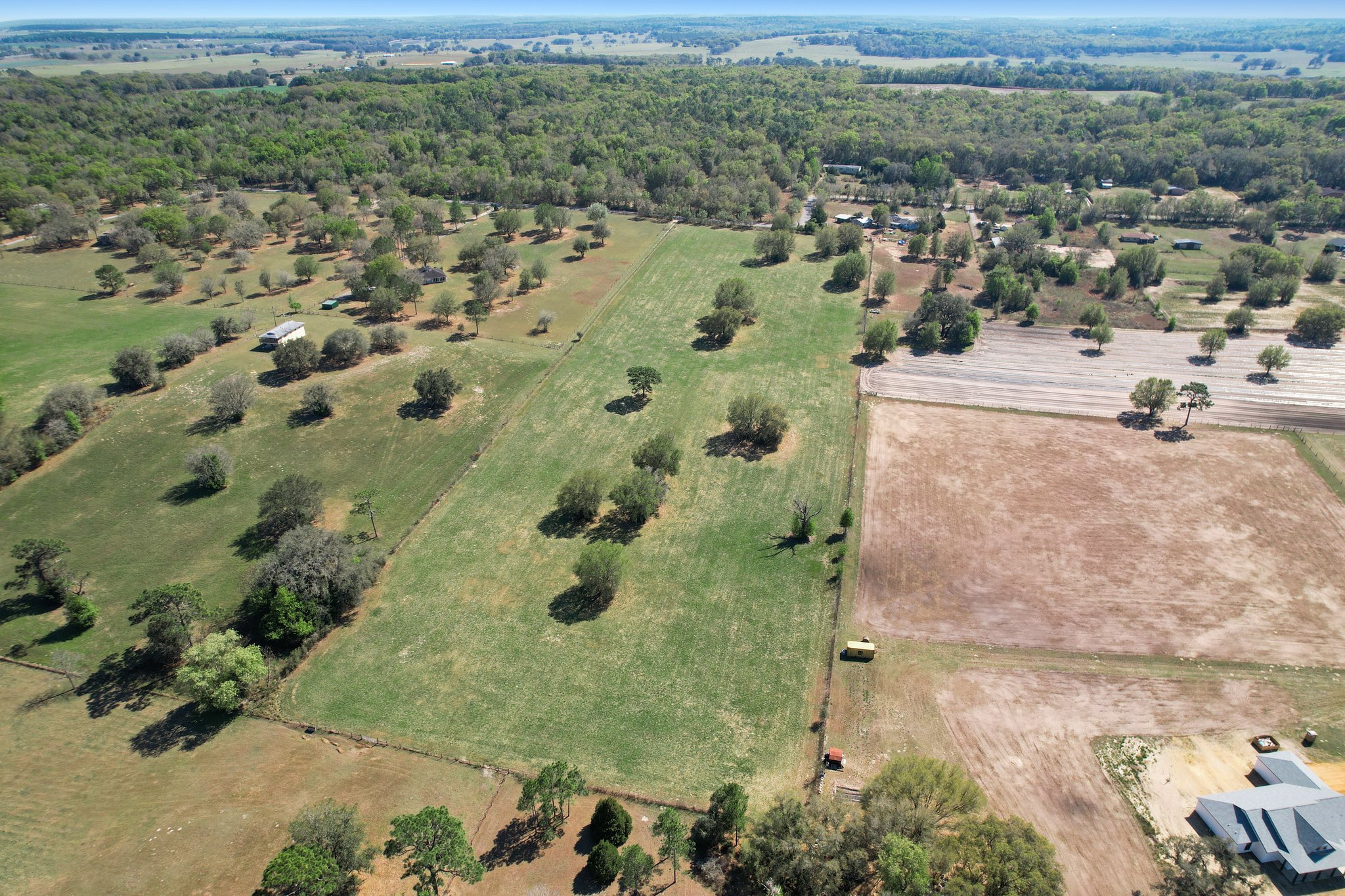 Old Trilby Rd, Florida 34602, USA Photo 9