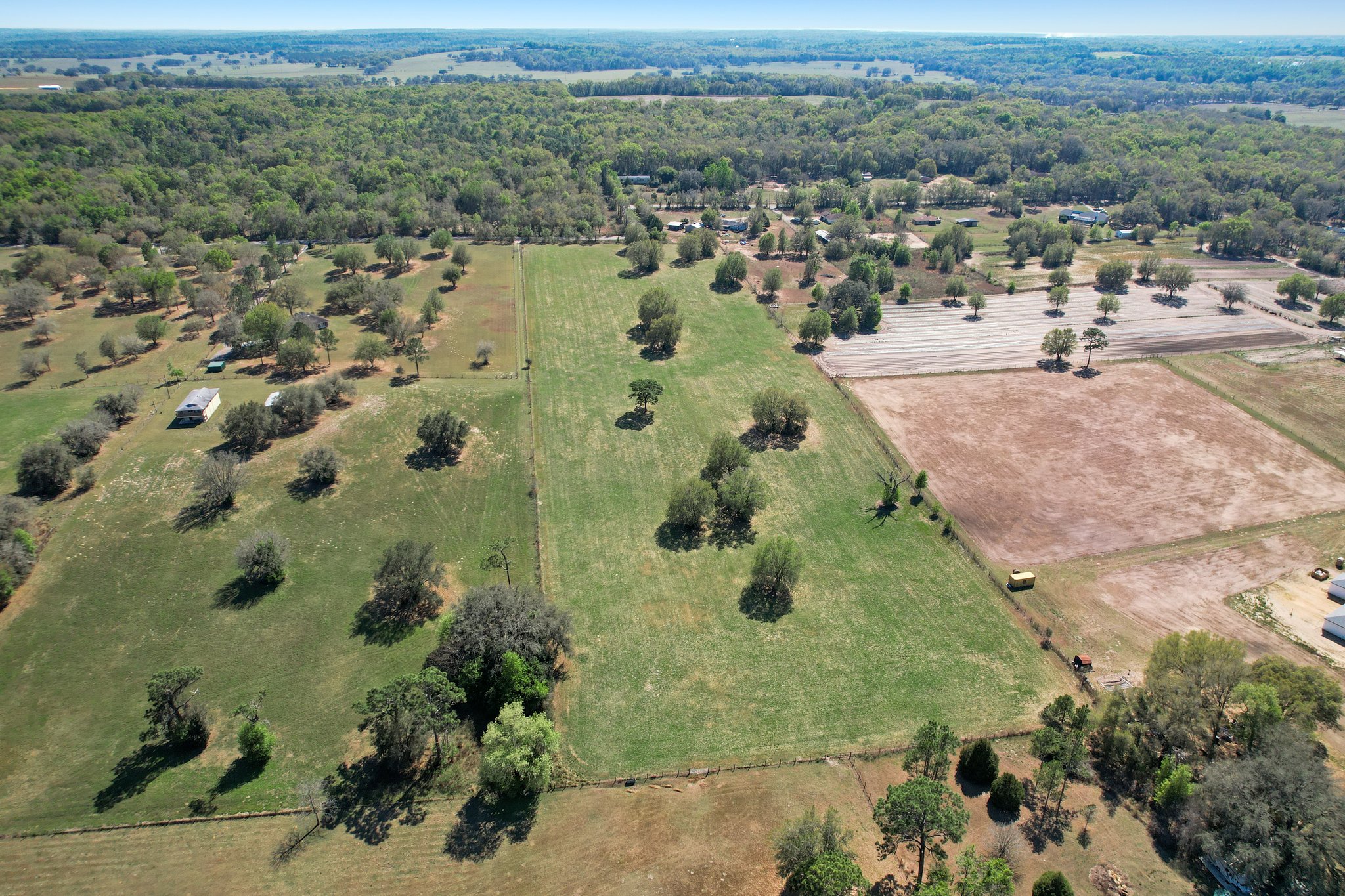 Old Trilby Rd, Florida 34602, USA Photo 8