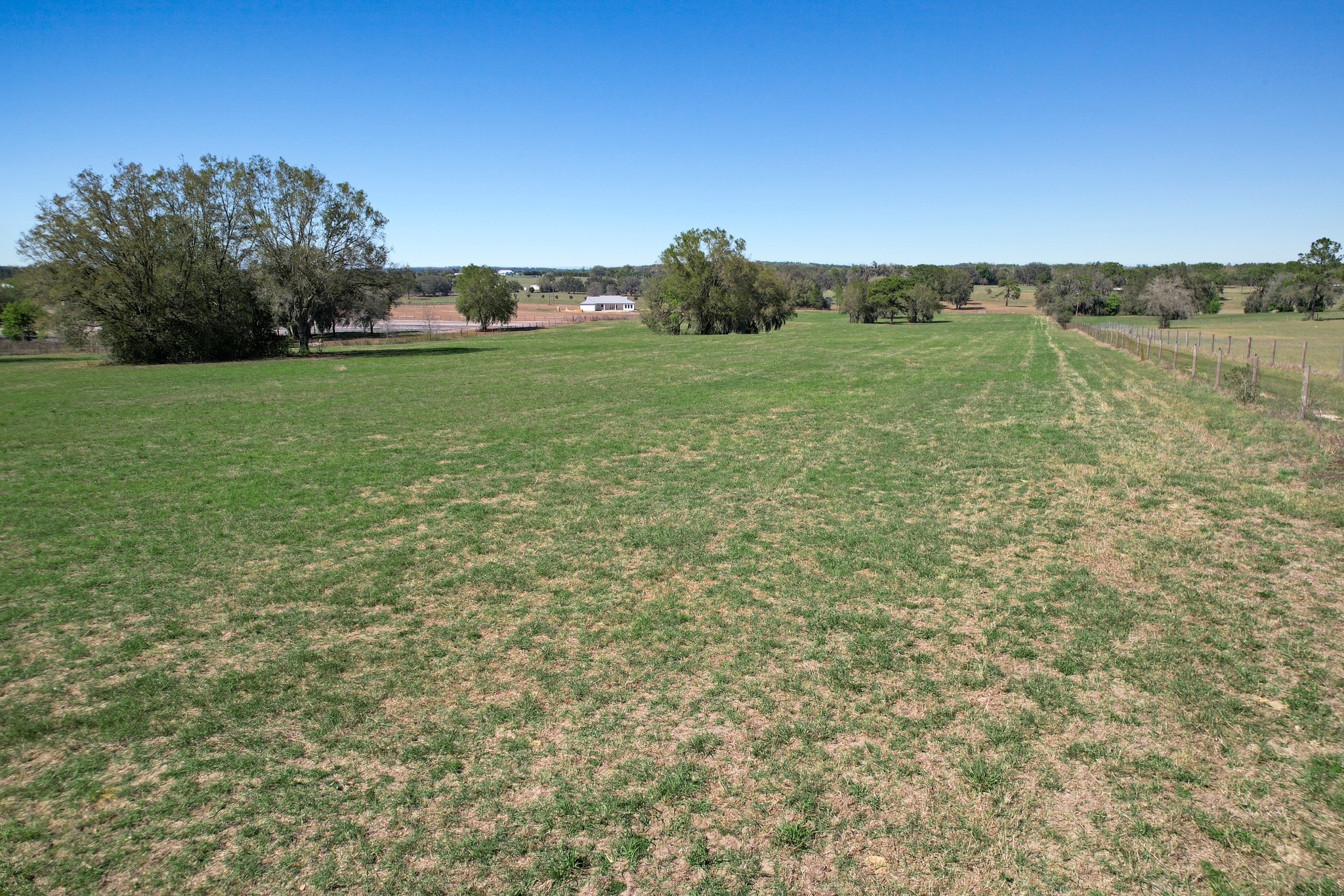 Old Trilby Rd, Florida 34602, USA Photo 6