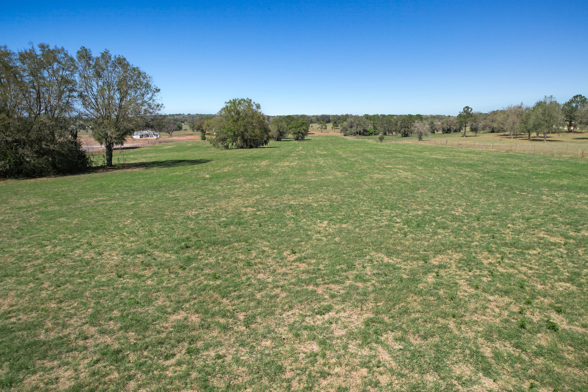 Old Trilby Rd, Florida 34602, USA Photo 7