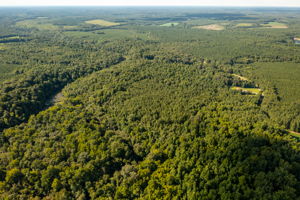  Photo 0