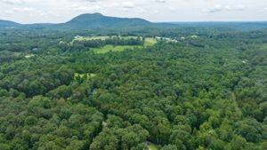 Image-13