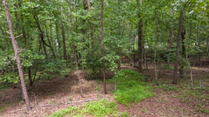 Image-42