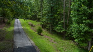 Image-37