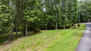 Image-49
