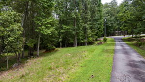 Image-48