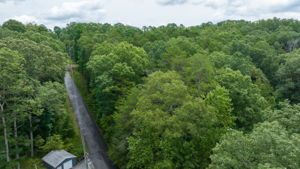 Image-33