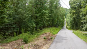 Image-1