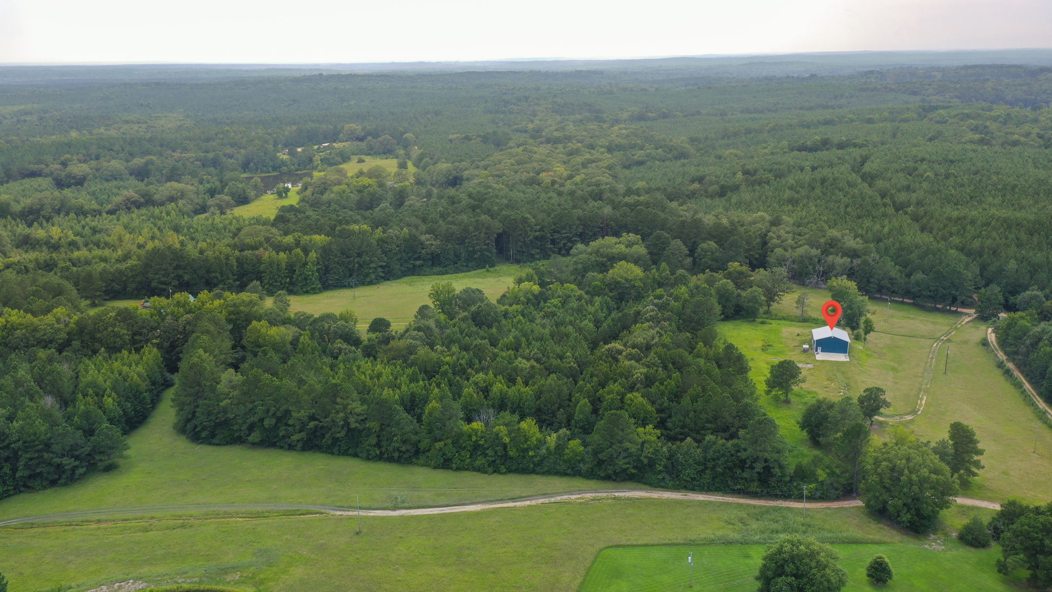 Pinola-Braxton-12a