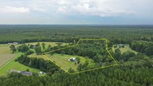 Pinola-Braxton-8a