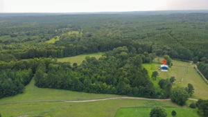Pinola-Braxton-12a